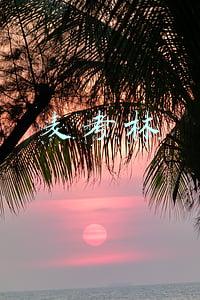 麦考林