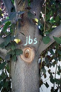 jbs