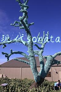 现代sonata