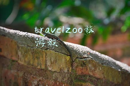travelzoo旅游族