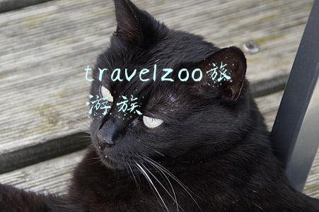 travelzoo旅游族