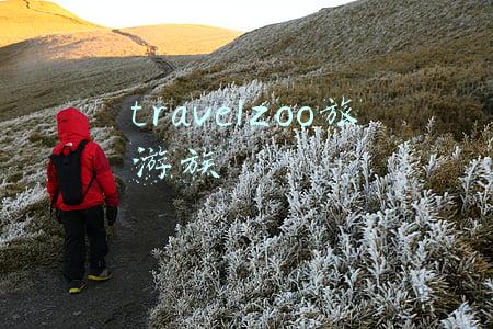 travelzoo官网(“她经济”成旅游行业趋势 旅游消费如何读懂“她”？)