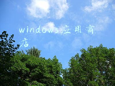 windows应用商店