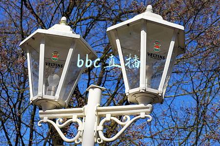 bbc直播