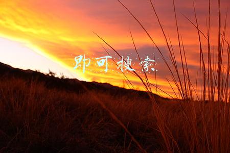 即可搜索