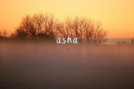 asha