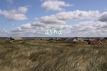 asha
