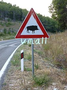vmall