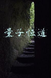 量子恒道的作用是什么(必须知道的运营本质系列五)