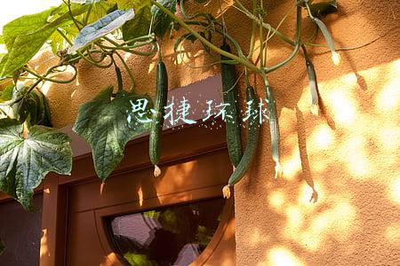 思捷环球