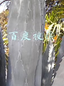 百度搜藏