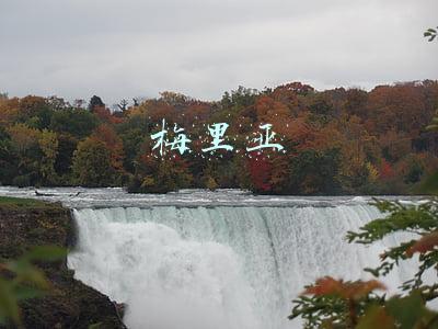 梅里亚