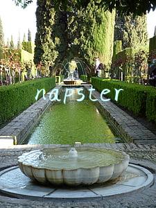napster