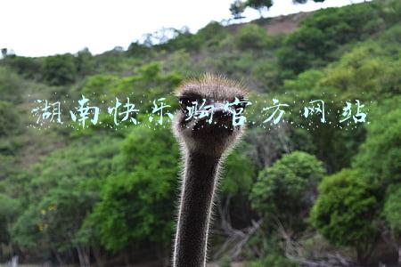 湖南快乐购官方网站