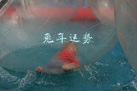 兔年运势