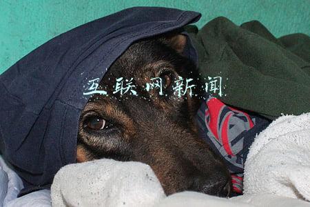 互联网新闻