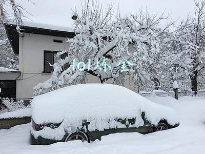 lol炼金