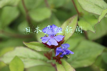日本产经新闻
