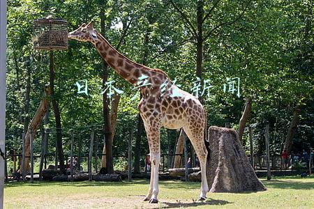 日本产经新闻