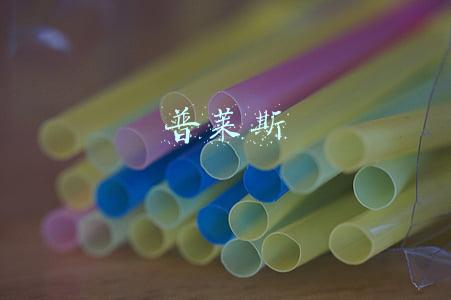 普莱斯