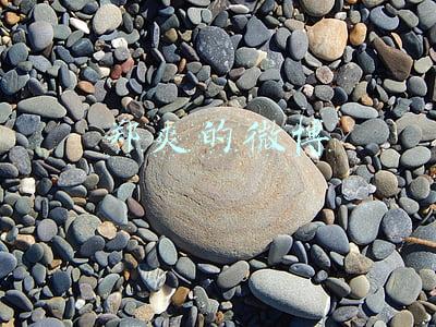 郑爽的微博