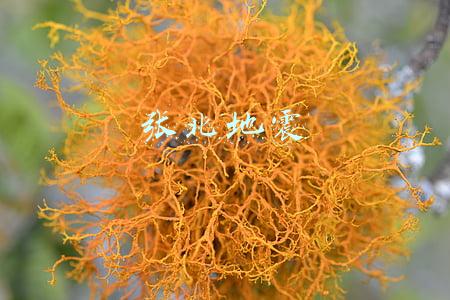 张北地震丢人(河北张北县发生3.0级地震，3个村部分村民反映有轻微震感)