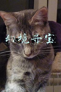 幻境寻宝