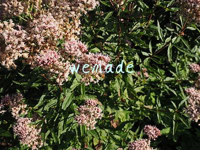 wemade connect(初中英语介词的使用口诀表)