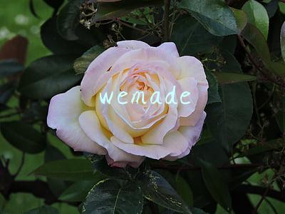 wemade