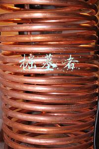 掘墓者