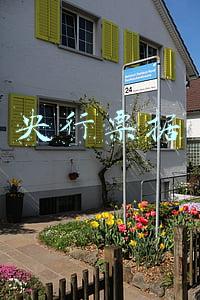 央行票据