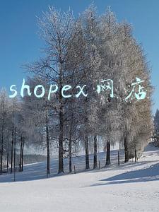 shopex网店