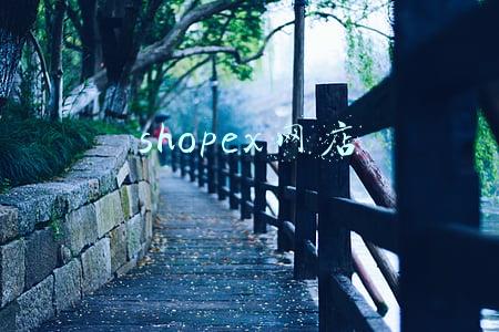 shopex网店