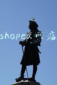 shopex网店