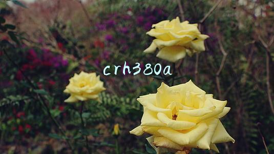 crh380a