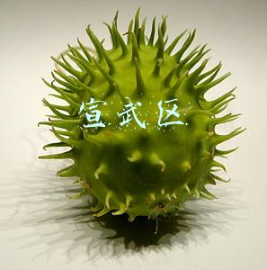 宣武区