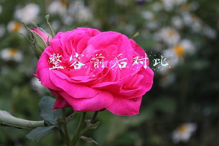 整容前后对比