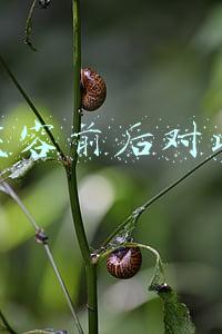 整容前后对比