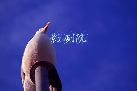 影剧院