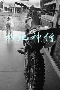 扫地神僧