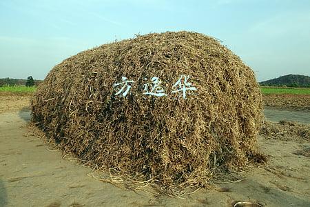 方逸华