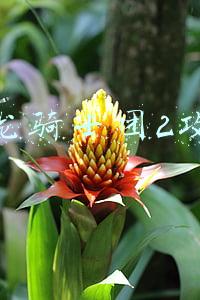炎龙骑士团2攻略