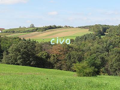 civo