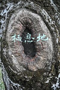 栖息地