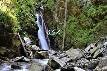 ask