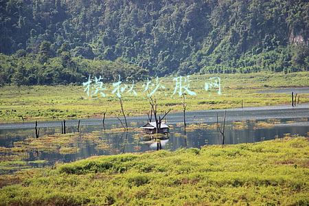 模拟炒股网