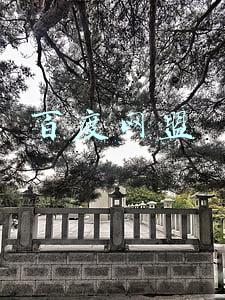 百度网盟