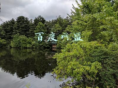百度网盟