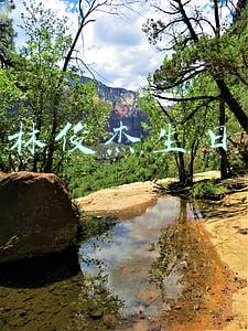 林俊杰生日
