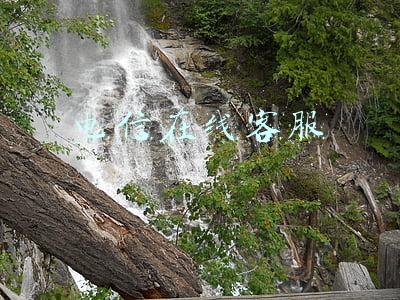 电信在线客服